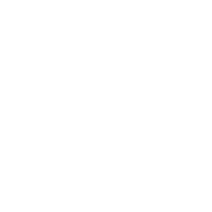Logo PZM